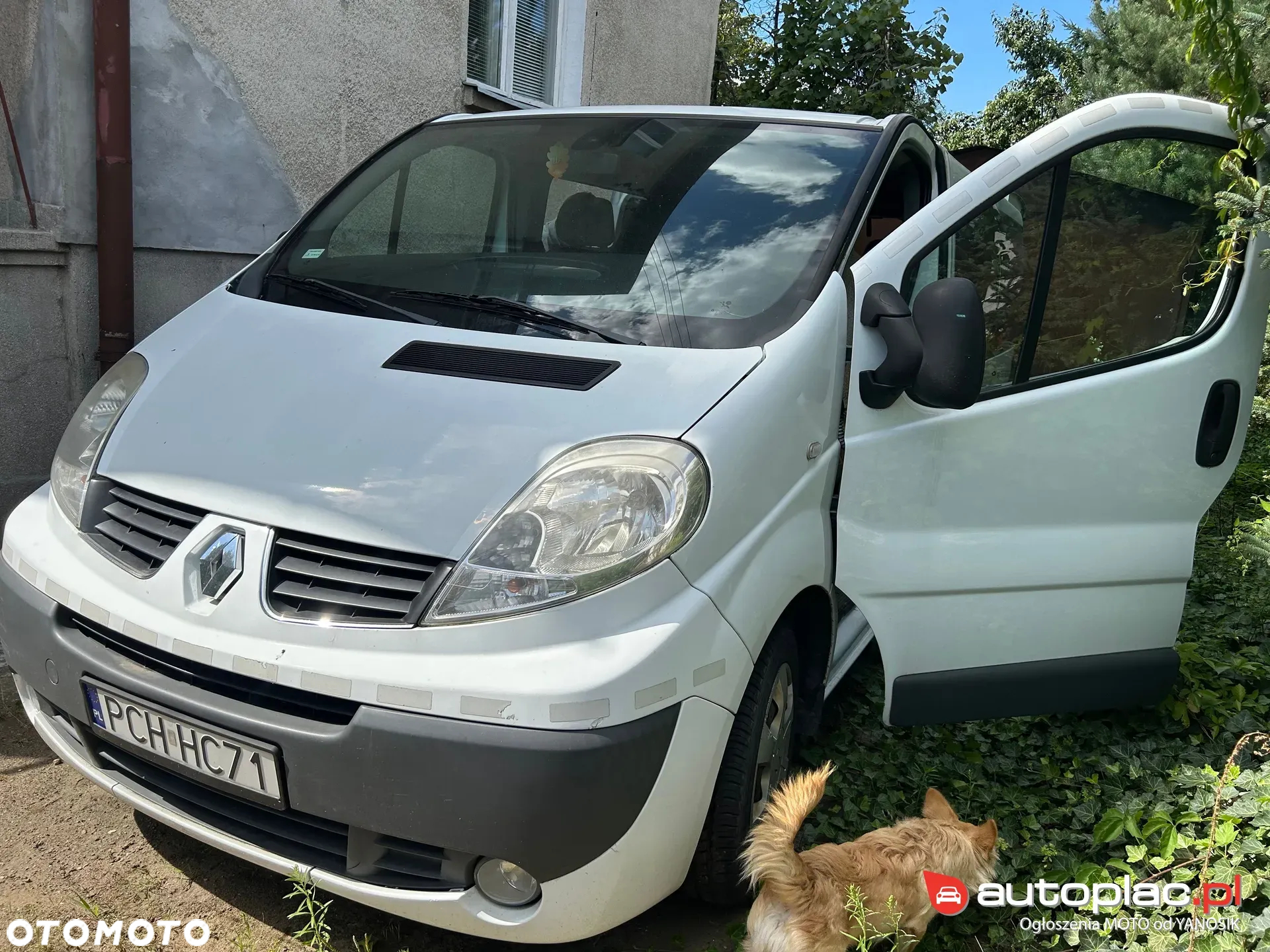 Renault Trafic - 34