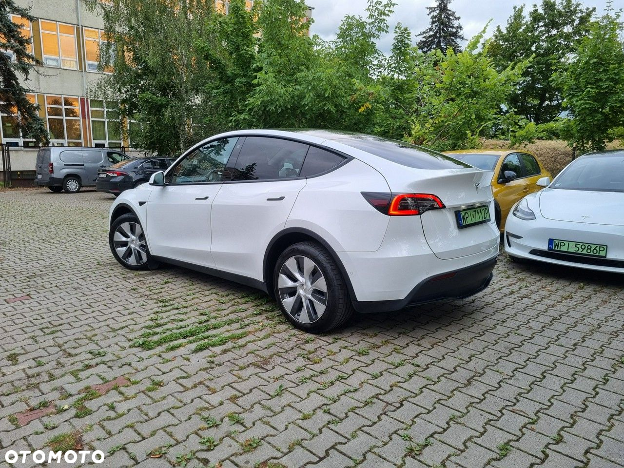 Tesla Y - 3