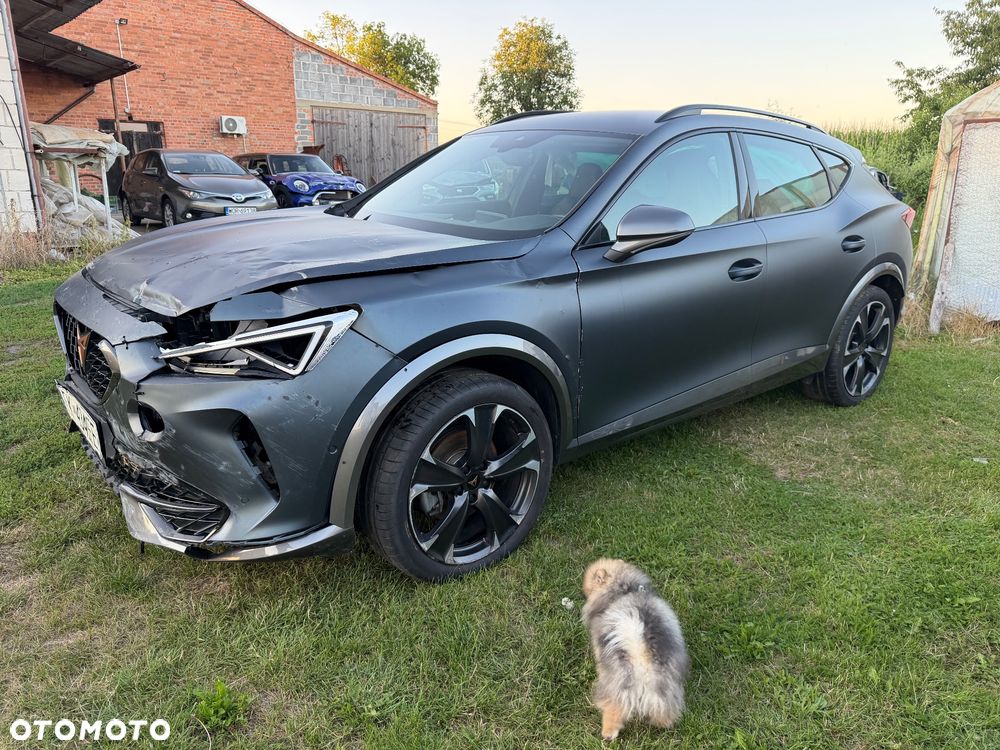 Cupra Formentor 2.0 TSI 4Drive DSG - 12