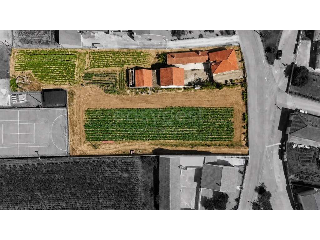 Propriedade Única com 3.500 m² no Centro da Serra D'El-Rei - Grande imagem: 4/44