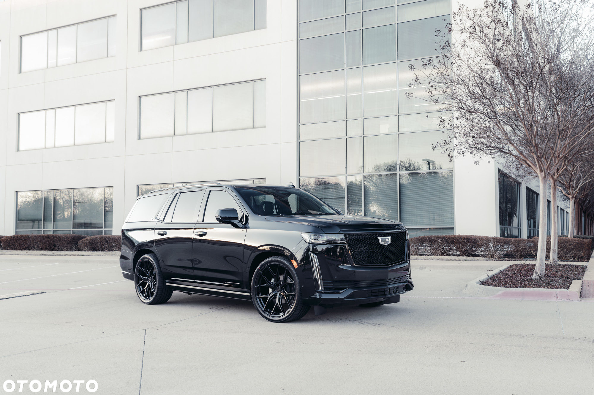 Cadillac Escalade - 9