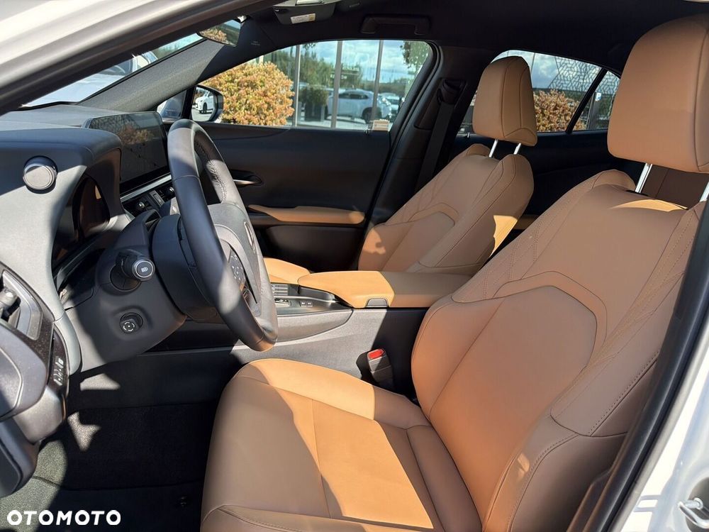 Lexus UX 300h F Sport Design - 19