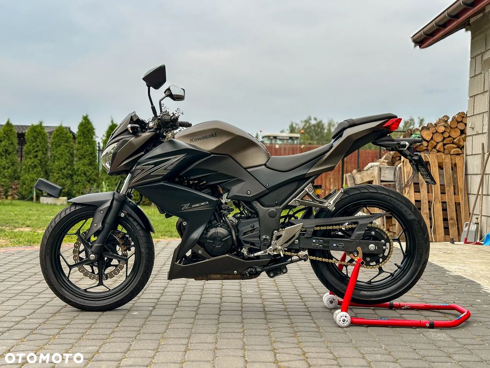 Kawasaki Z - 5