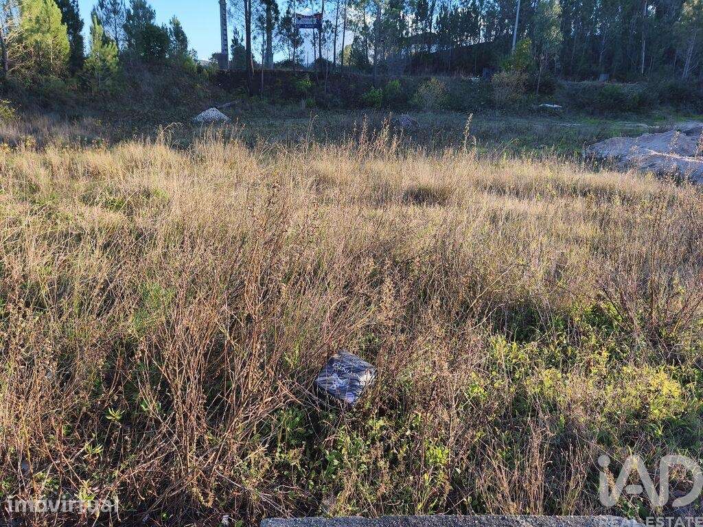 Terreno para construção em Ansião - Grande imagem: 2/14