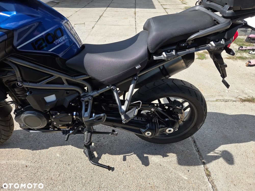 Triumph Tiger - 11