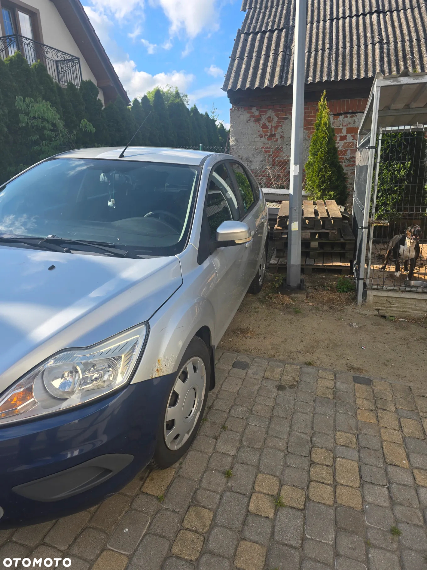 Ford Focus - 3