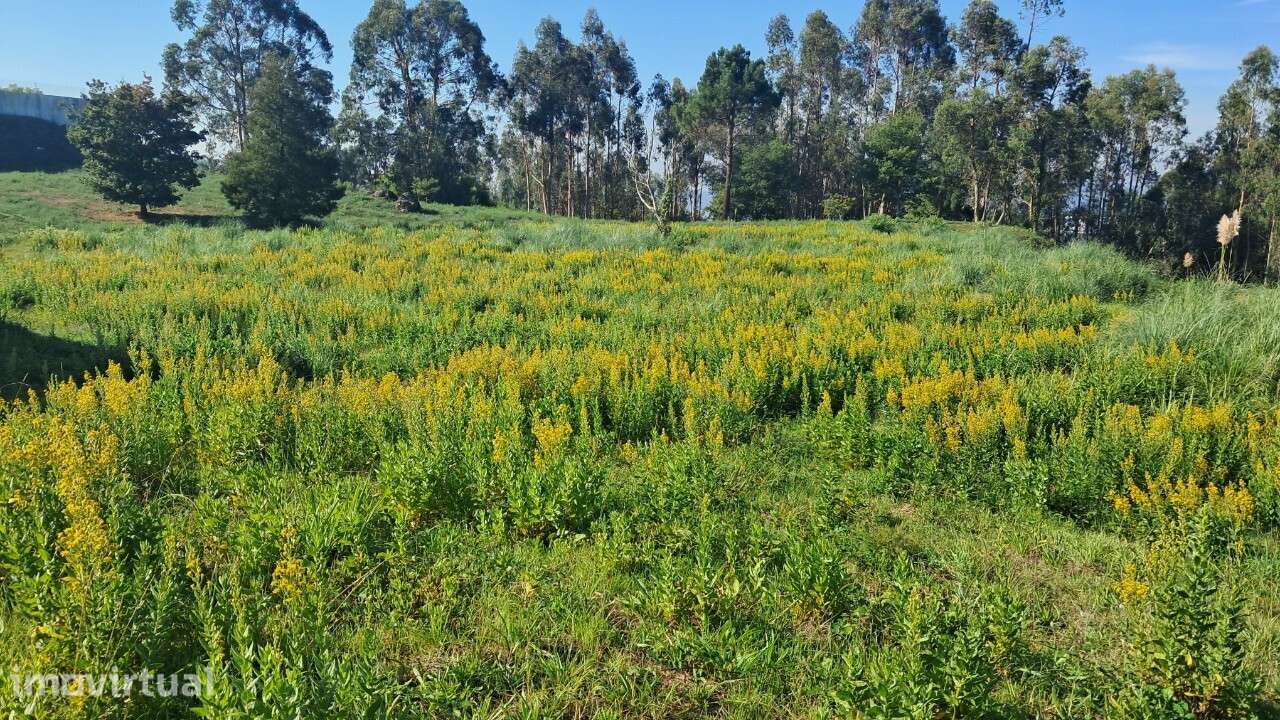 Comprar terreno em Oliveira de Azeméis - Grande imagem: 4/4