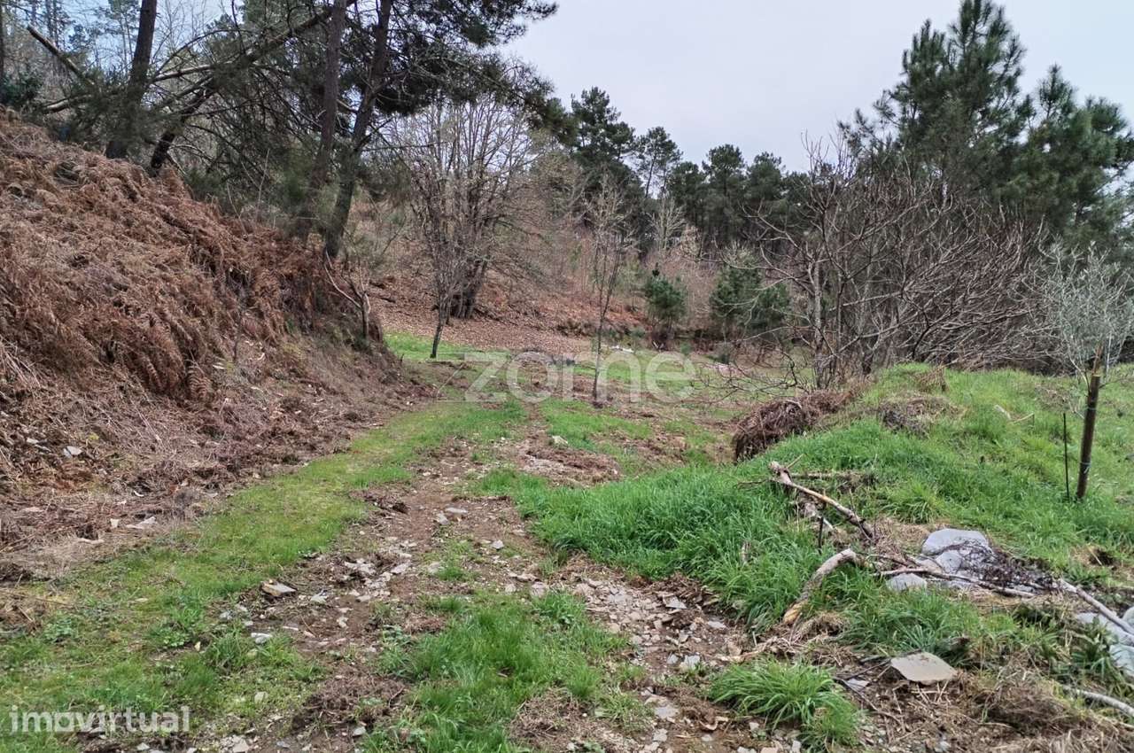 Terreno agricola e florestal. - Grande imagem: 4/34