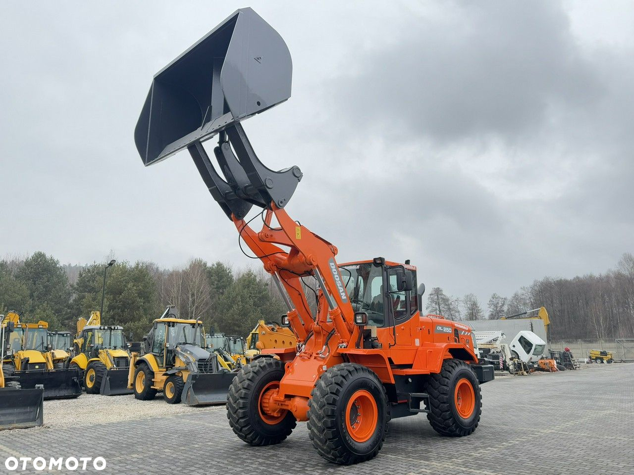 Doosan DL250  14,5Ton Łyżka Wysokiego Wysypu !!! - 2