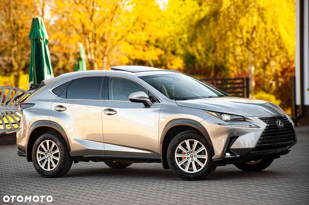 Lexus NX 300 AWD - 5
