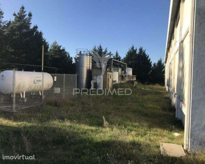 Unidade Industrial 3.734 m2 Parque Industrial de Idanha-a-Nova - Grande imagem: 3/11