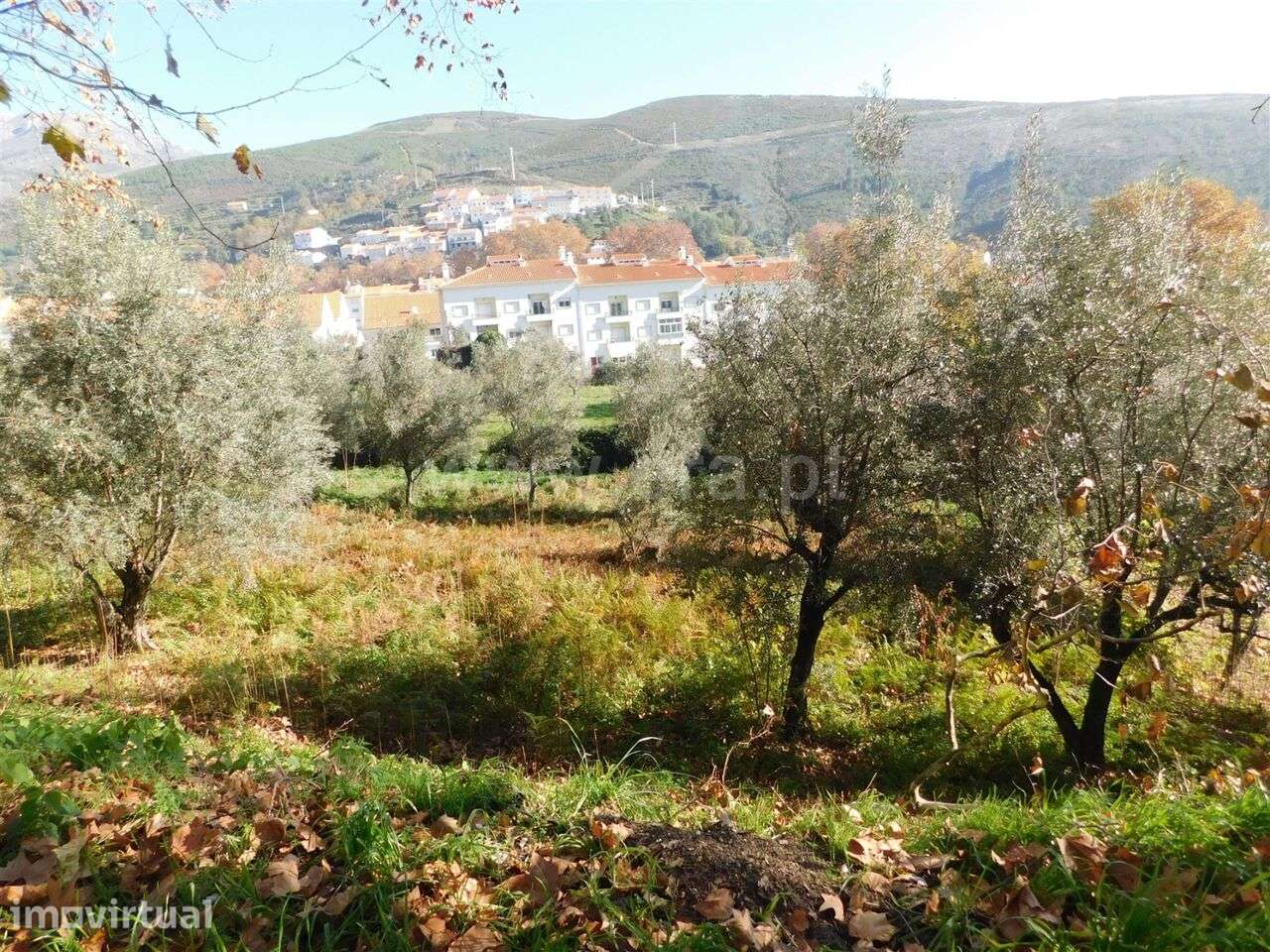 Terreno / Covilhã, Unhais da Serra - Grande imagem: 4/13
