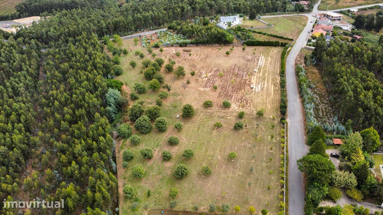 Quinta Exclusiva em Canedo – 21.860 m² de Potencial e Tradição - Grande imagem: 4/17