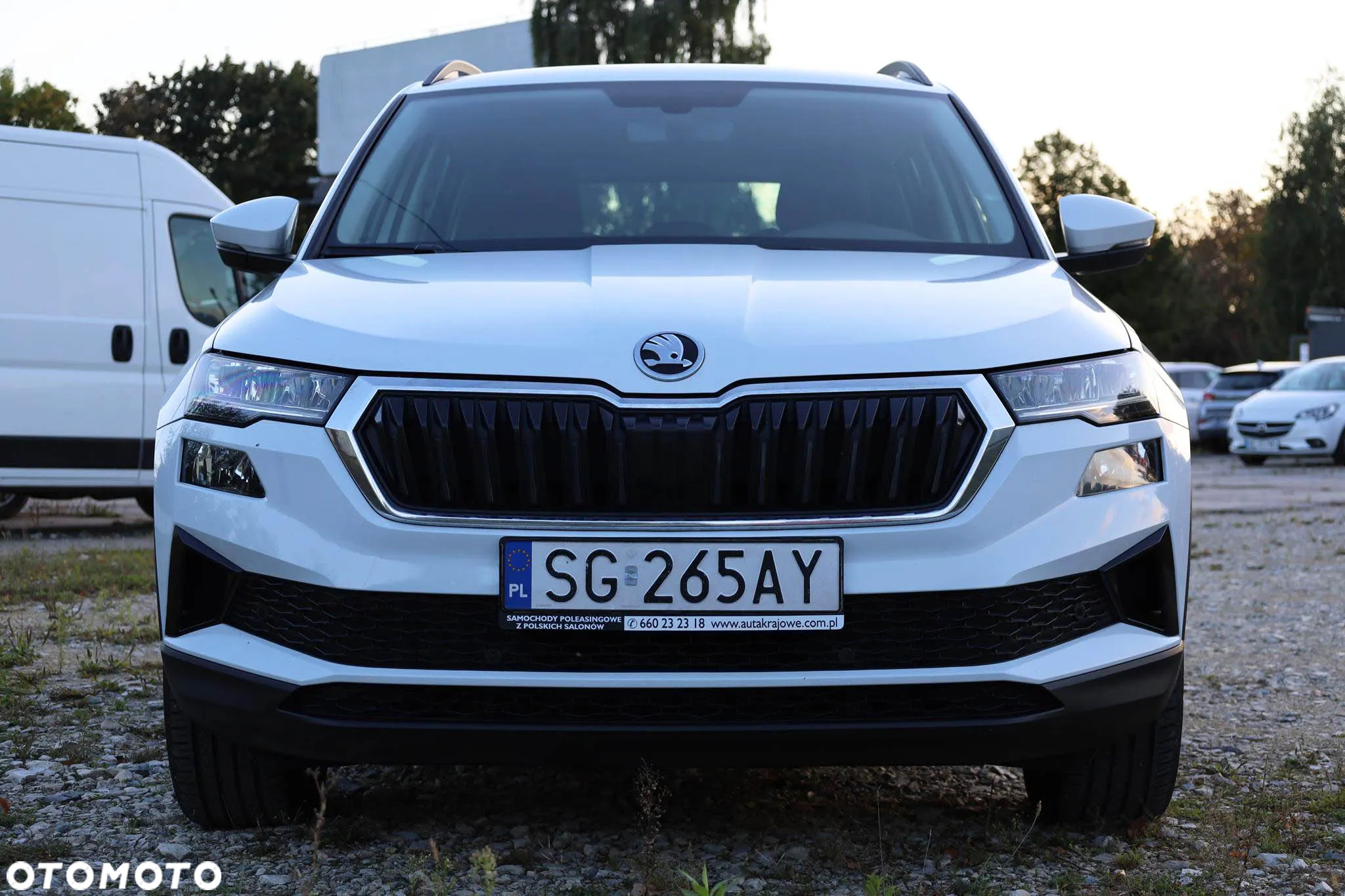 Skoda Karoq 2.0 TDI SCR 4x2 Ambition DSG - 6