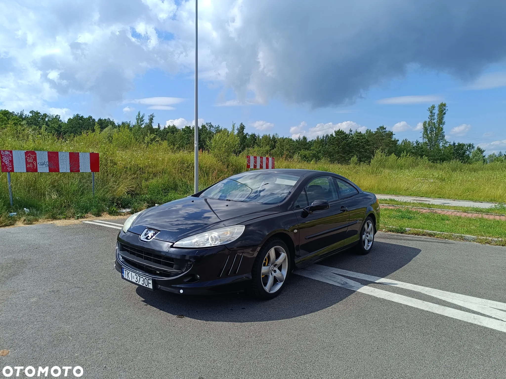 Peugeot 407 - 4