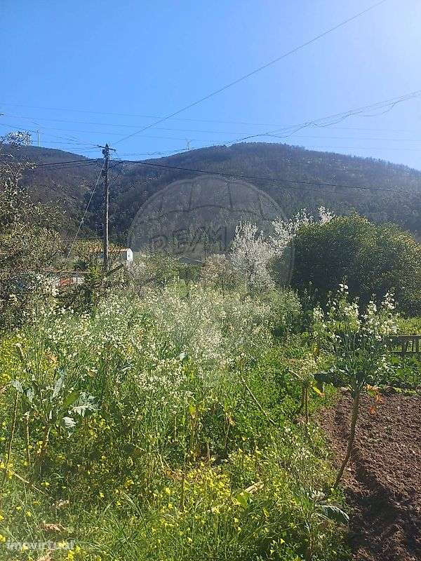 Moradia T3 para venda - Grande imagem: 3/7