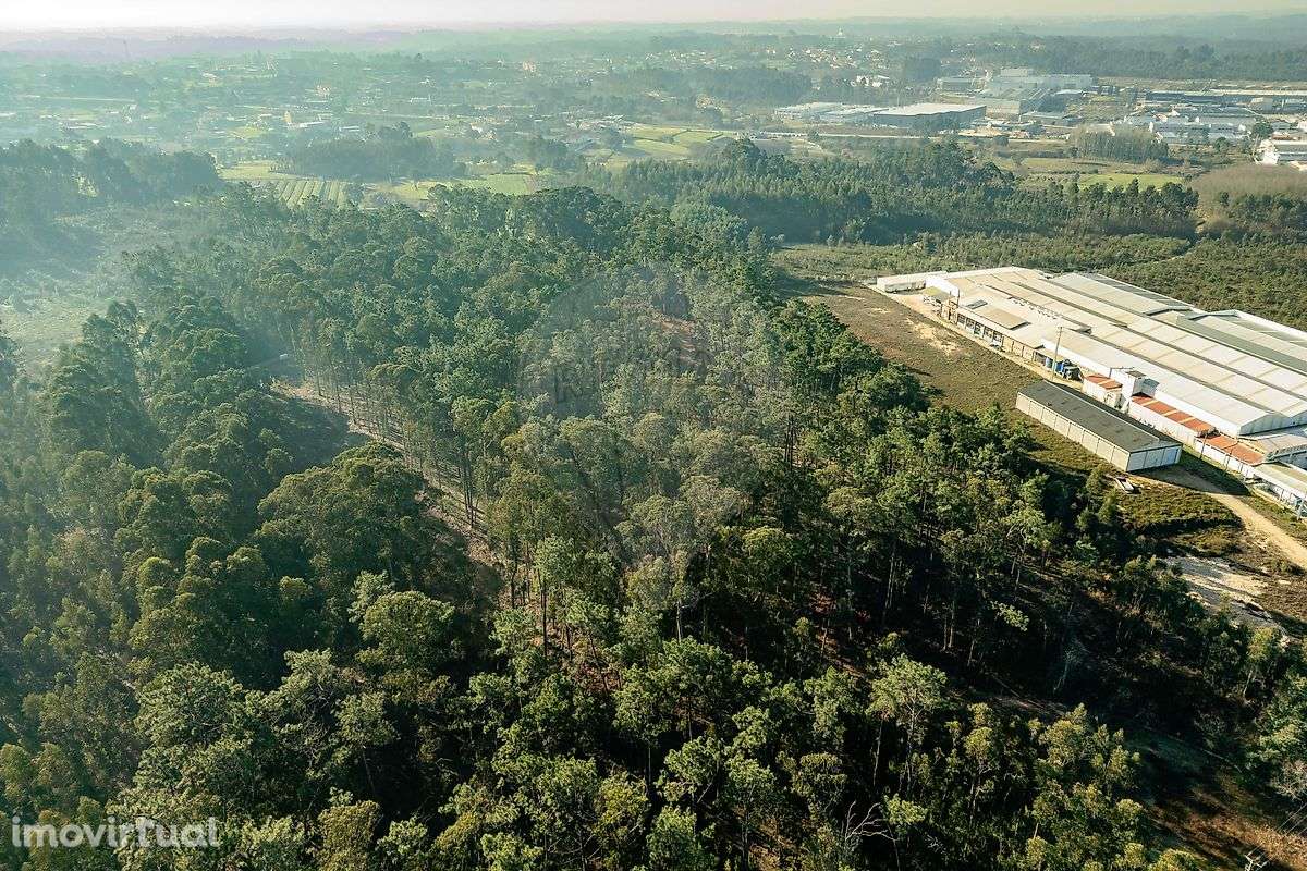 Terreno  para venda - Grande imagem: 5/11