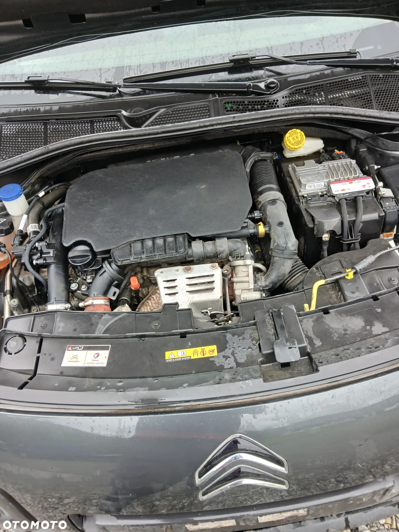 Citroën C4 Cactus - 7