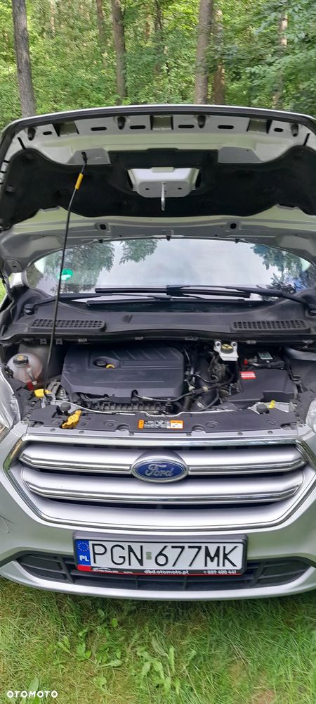 Ford Kuga 1.5 EcoBoost 4x4 Individual - 19