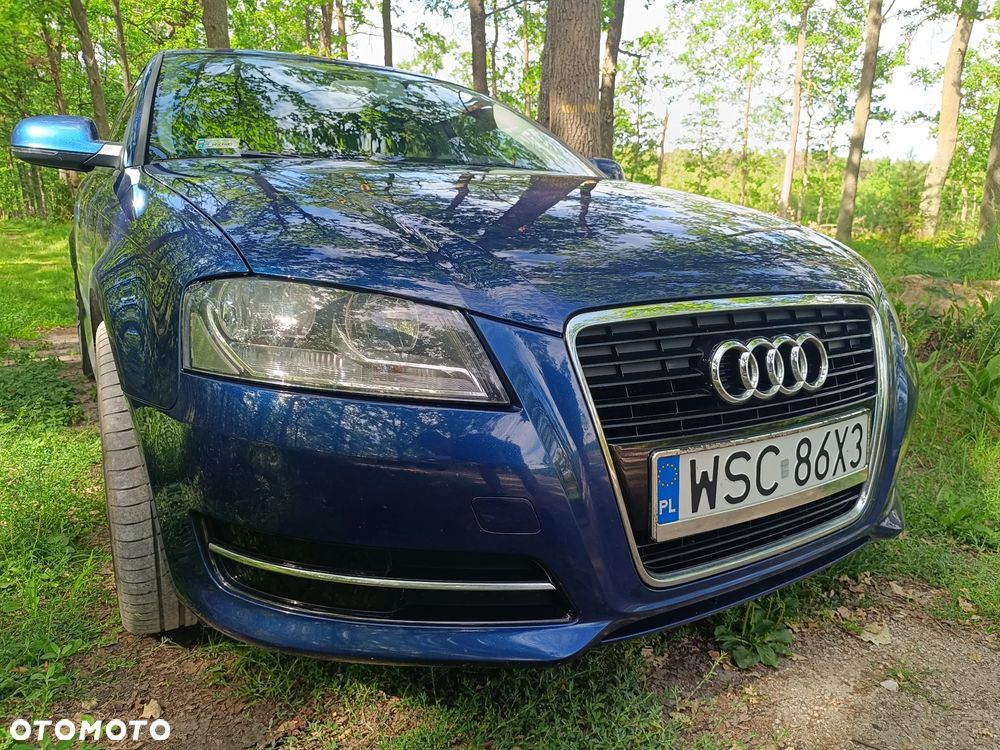 Audi A3 Sportback 1.6 TDI DPF Ambition - 13