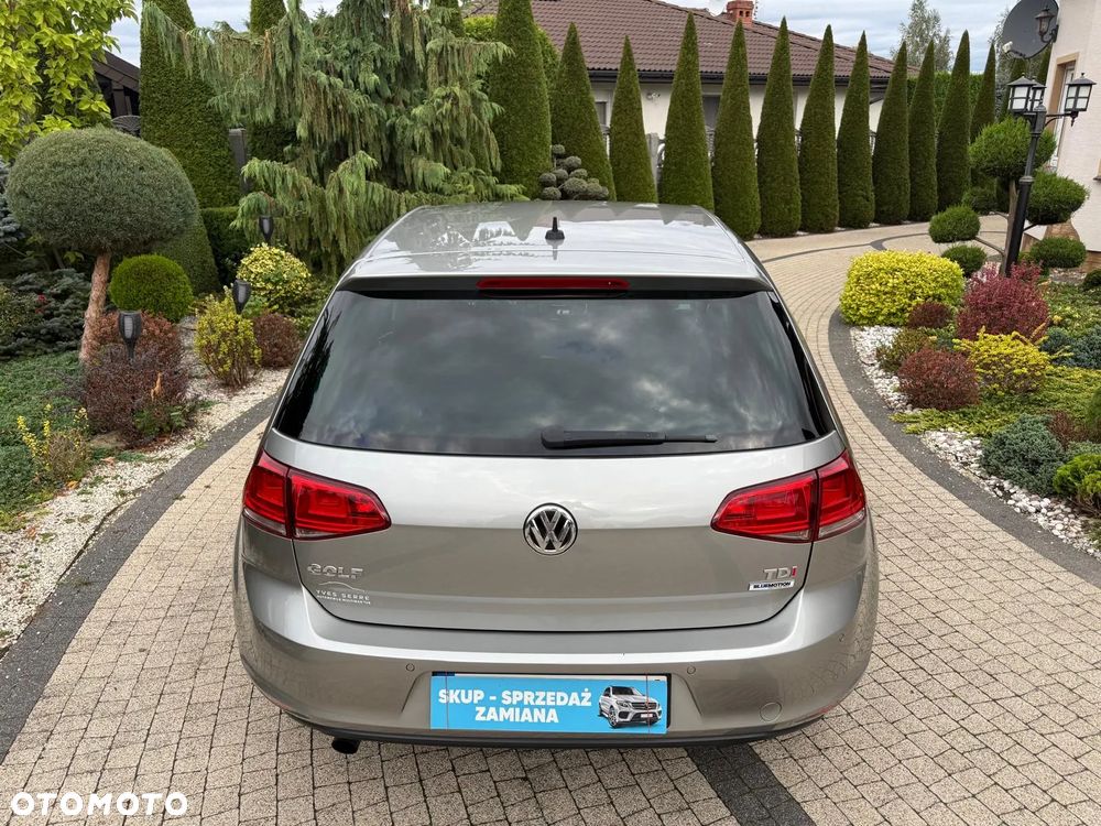 Volkswagen Golf 1.6 TDI BlueMotion Technology Allstar - 27