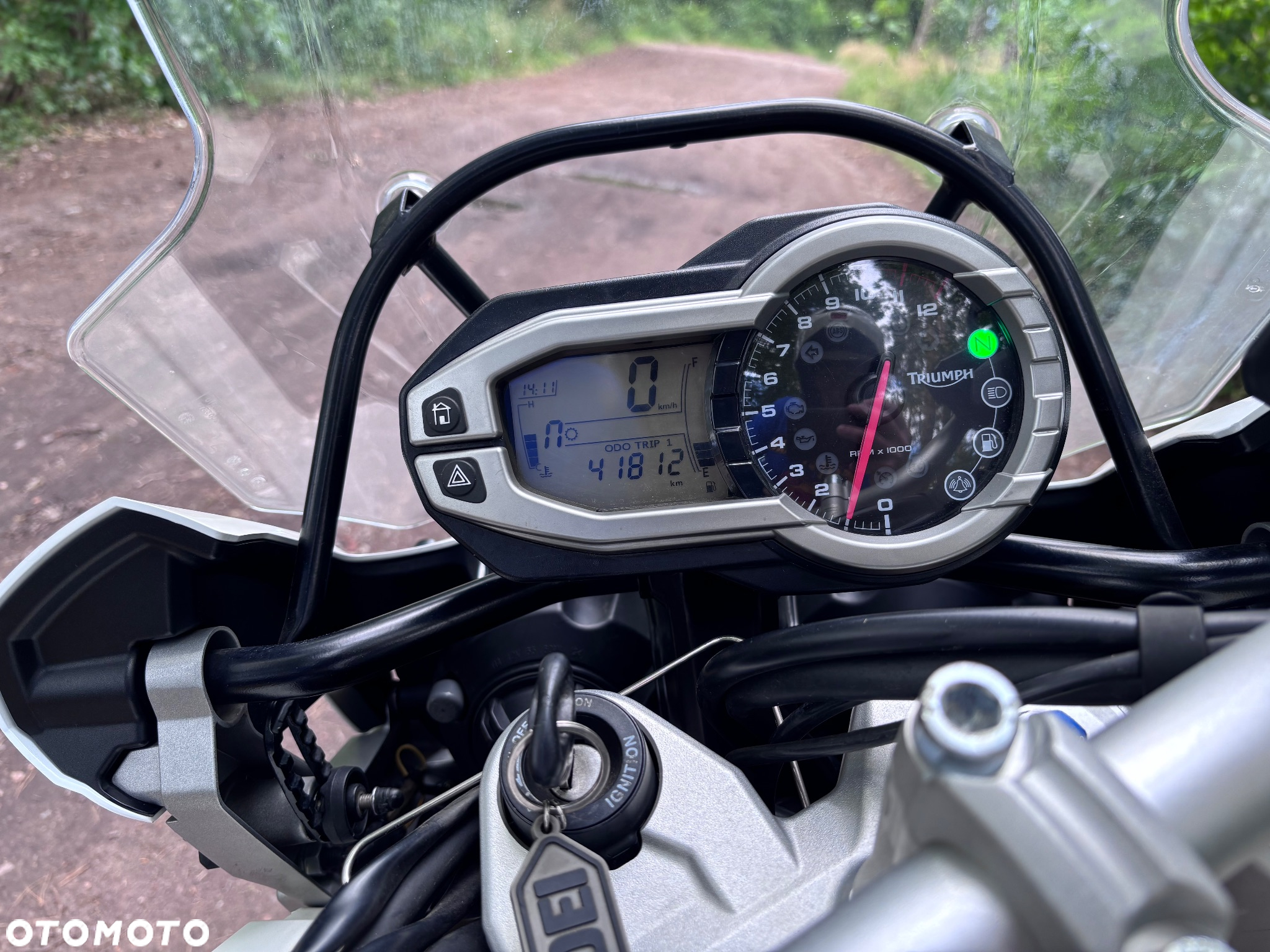 Triumph Tiger - 8