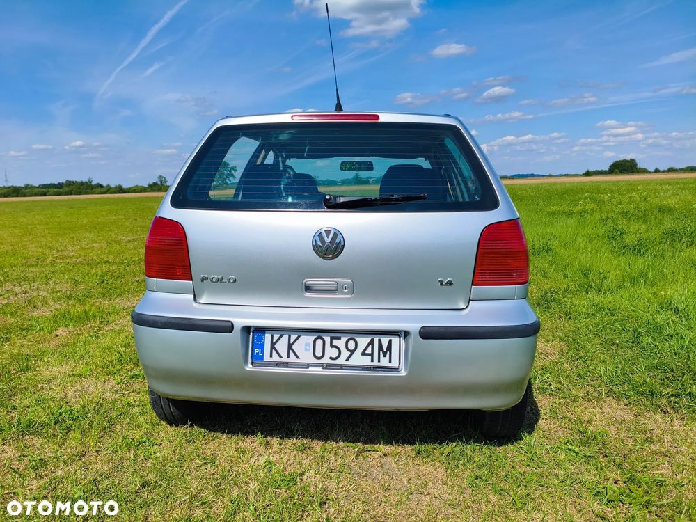 Volkswagen Polo - 7