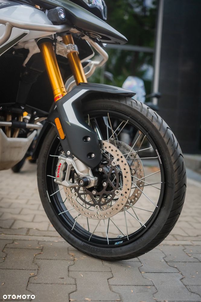 Triumph Tiger - 15