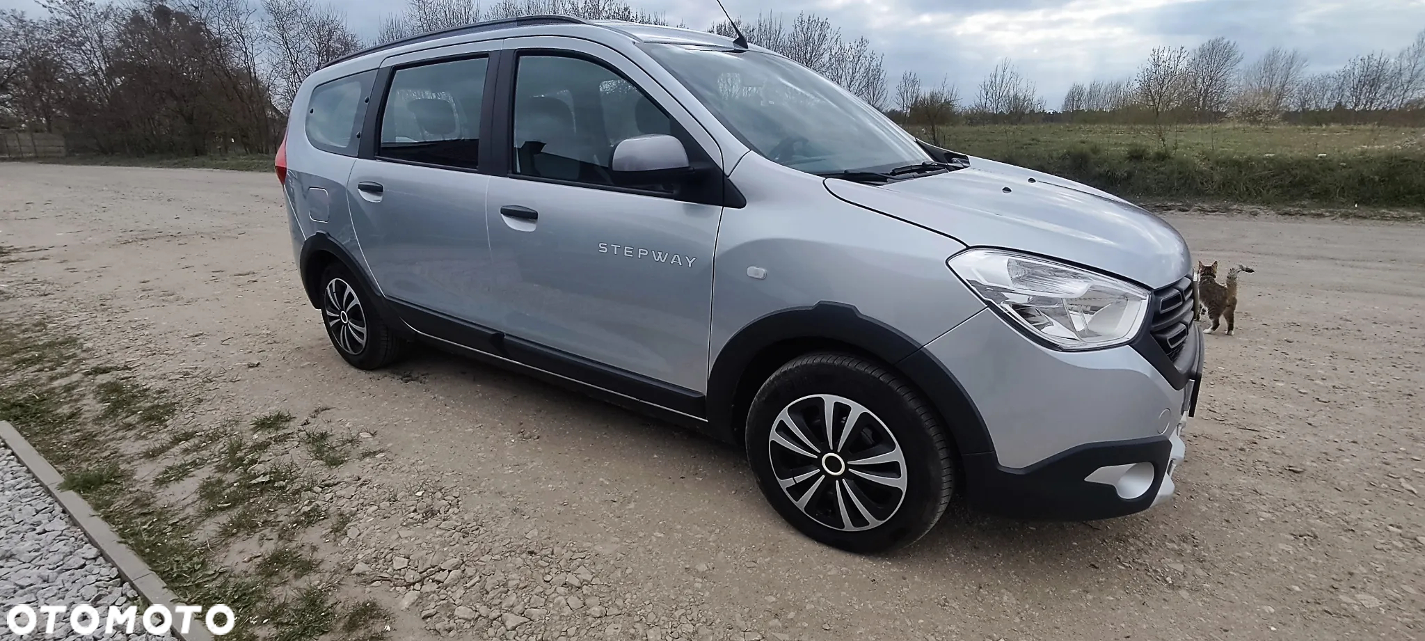 Dacia Lodgy 1.5 Blue dCi Stepway S&S - 3