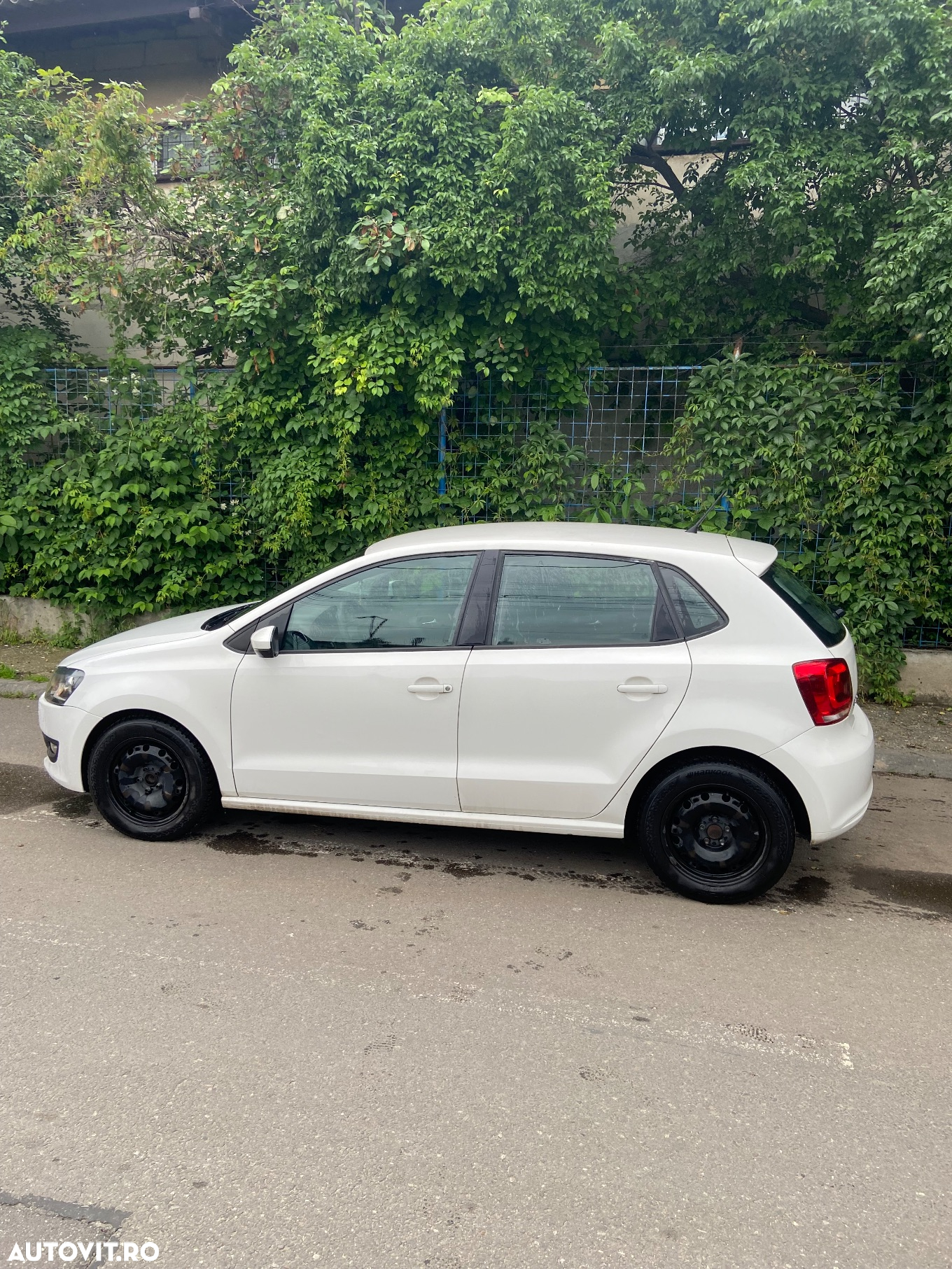 Volkswagen Polo 1.6 TDI CR DPF Trendline - 3