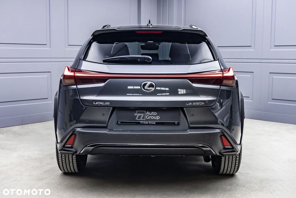 Lexus UX 250h F SPORT - 10