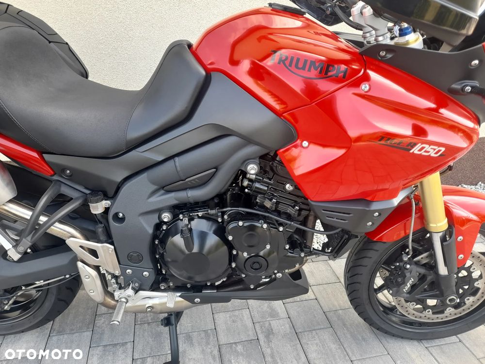 Triumph Tiger - 7