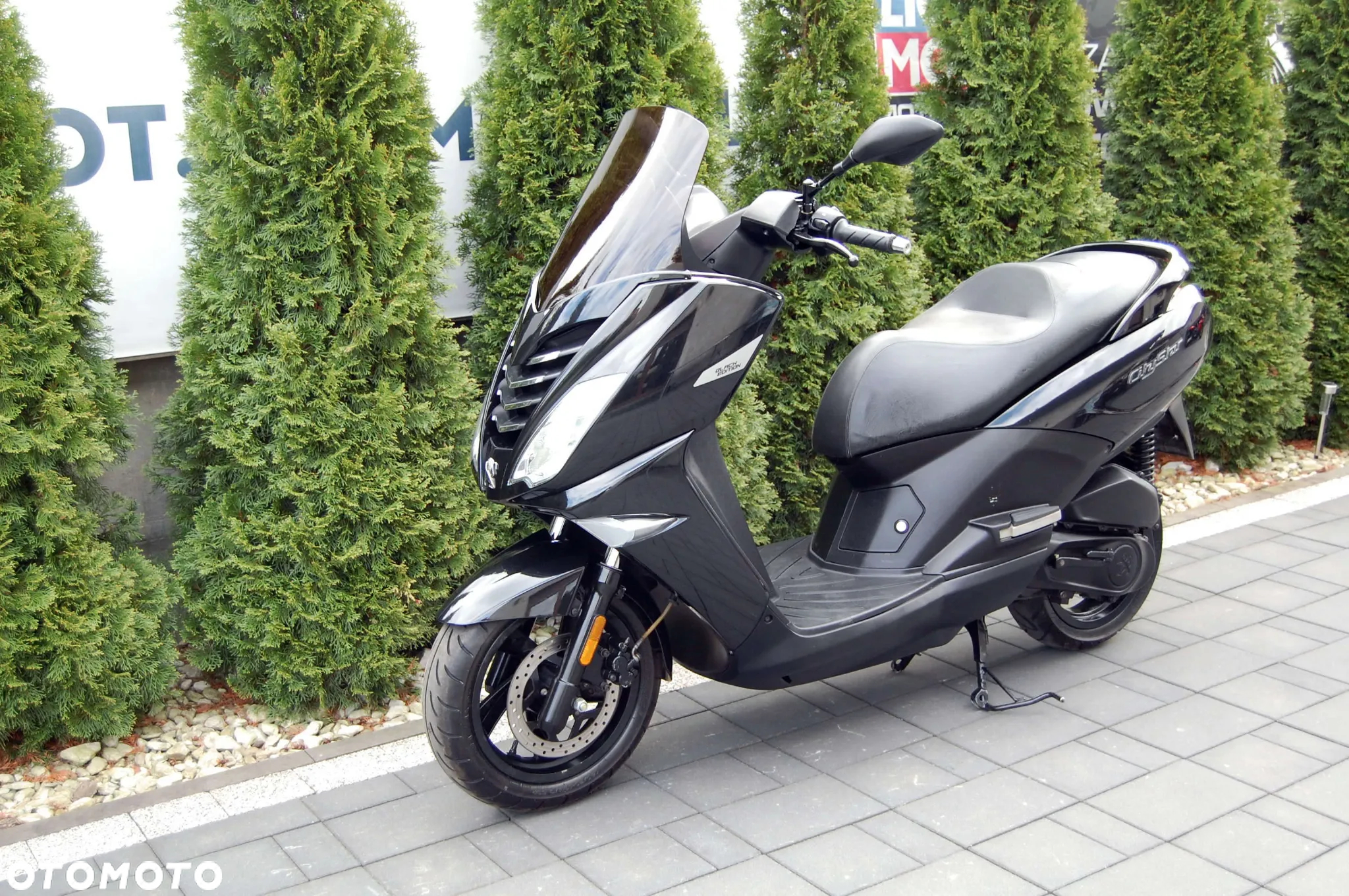 Peugeot Citystar - 4