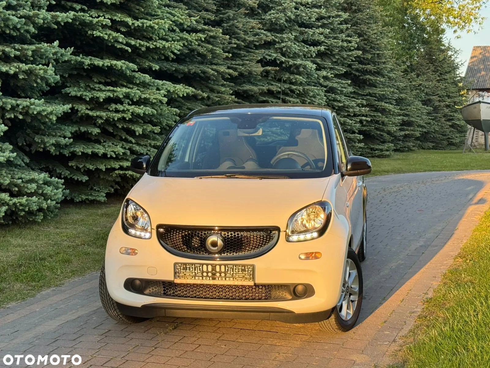 Smart Forfour passion - 9