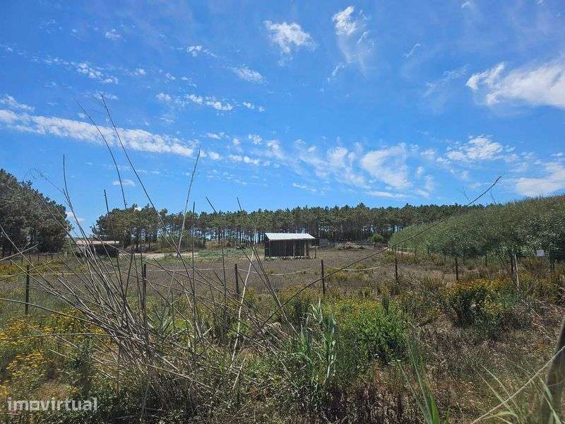 Terreno Agricola perto de Ferrel, Atouguia, Baleal e Peniche 3000m2 - Grande imagem: 2/4