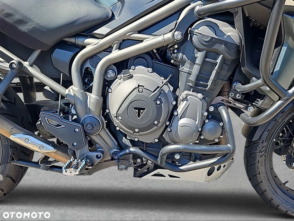 Triumph Tiger - 19