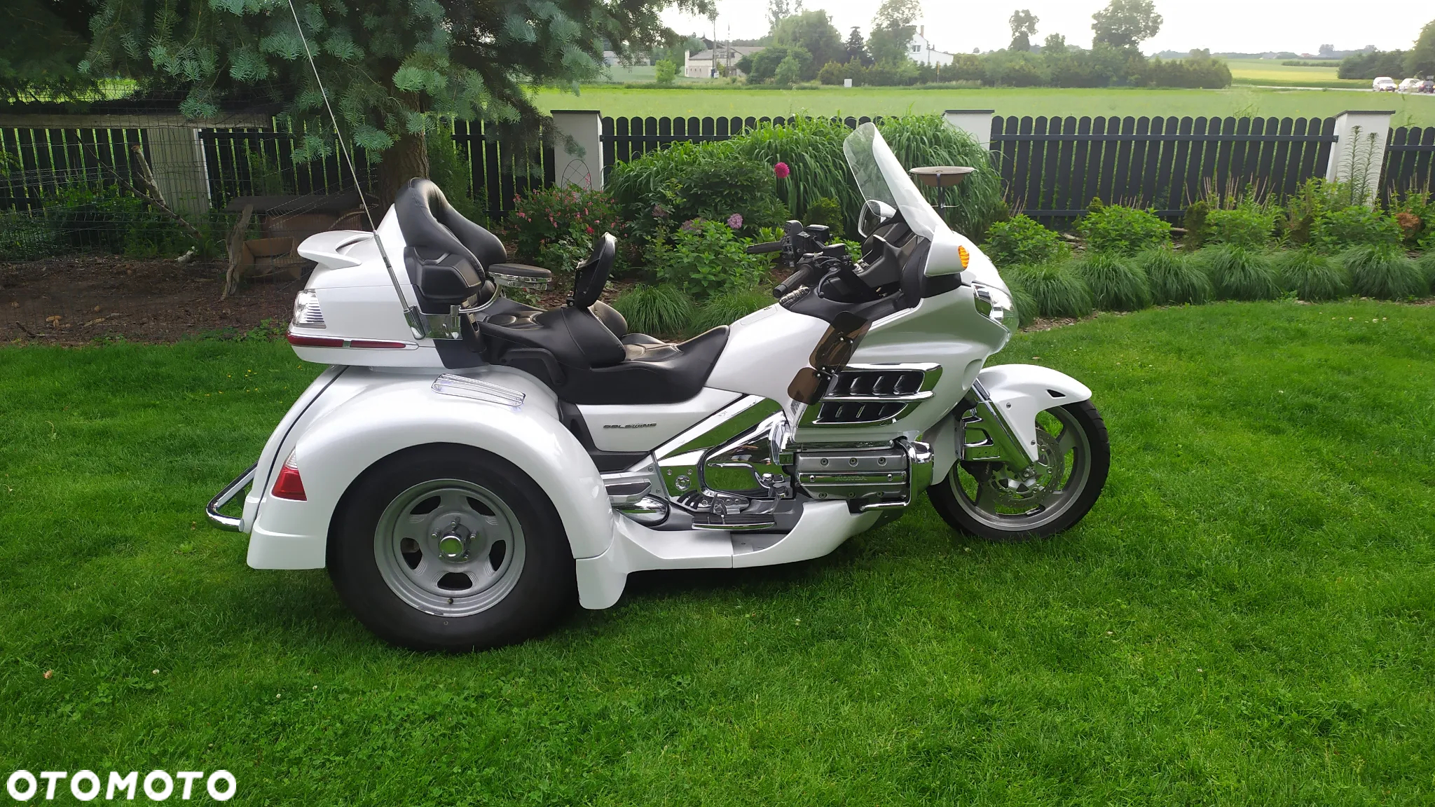 Honda GL - 3