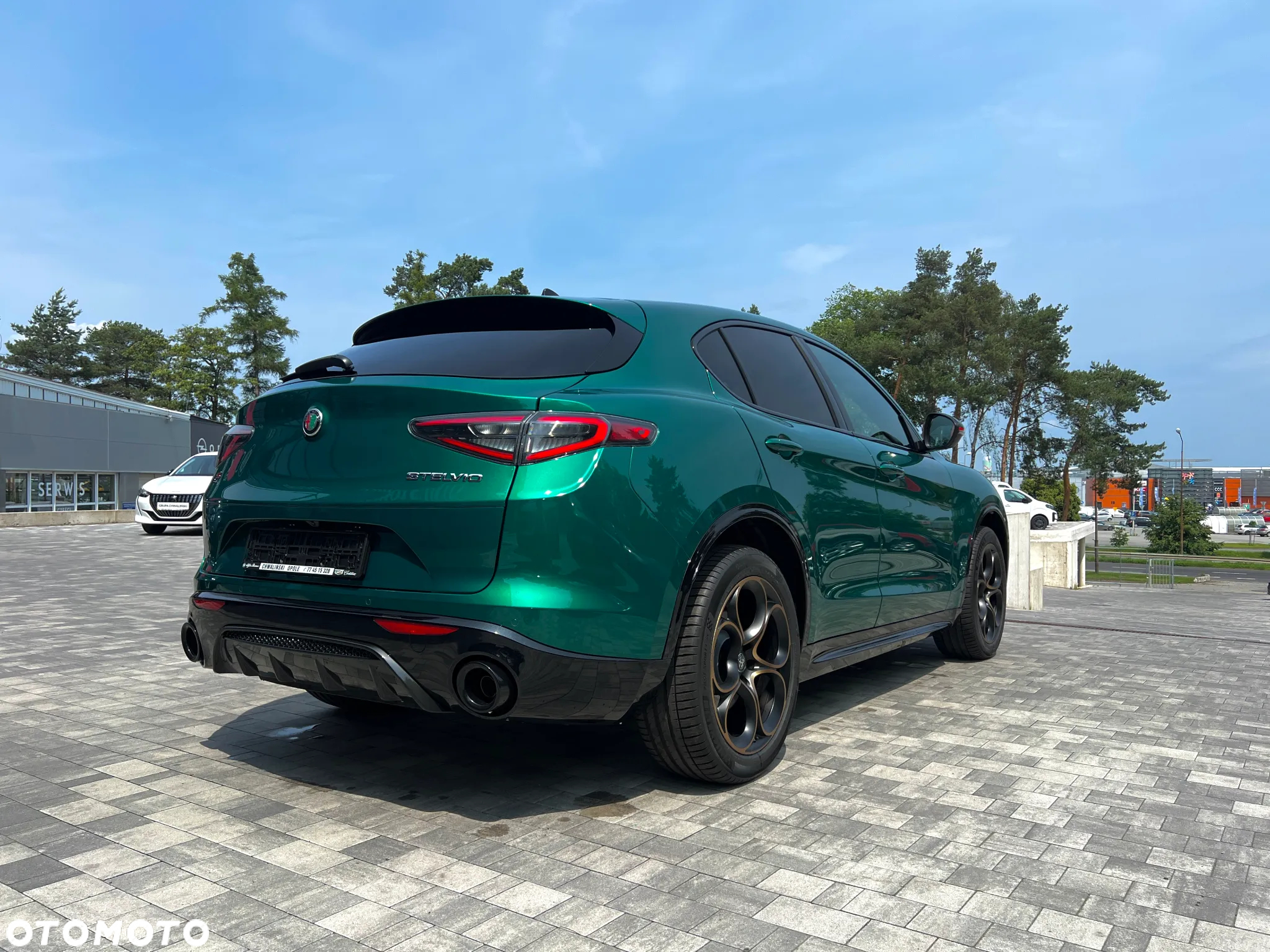 Alfa Romeo Stelvio 2.0 Turbo Intensa Q4 - 3