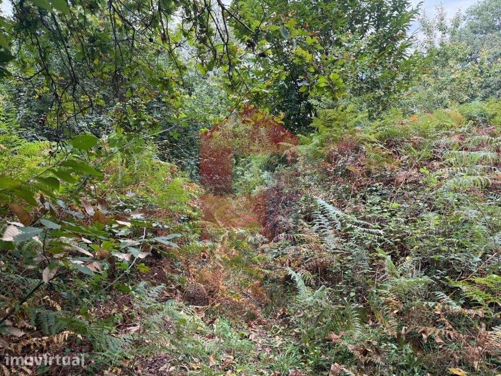 Terreno agrícola, Duas Igrejas - Grande imagem: 5/29
