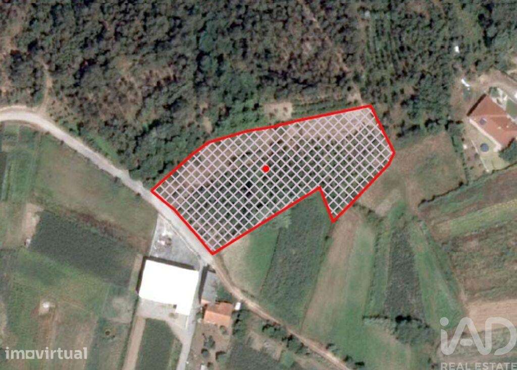 Terreno Agrícola em Souto da Carpalhosa e Ortigosa - Grande imagem: 2/10