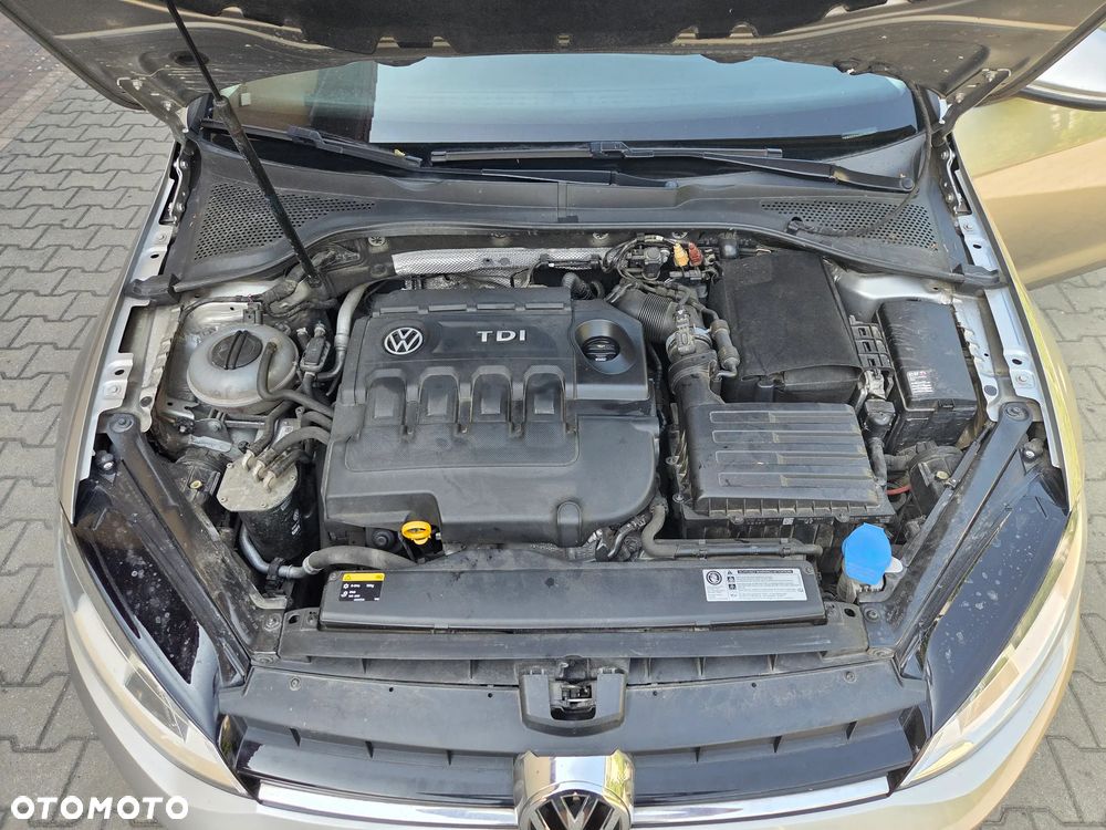 Volkswagen Golf - 15