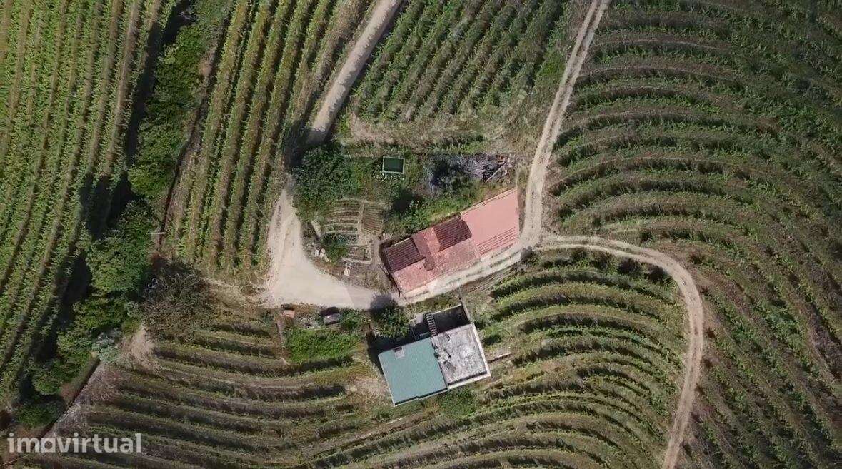 Quinta de Charme no Coração do Douro – Uma Oportunidade Única - Grande imagem: 3/36