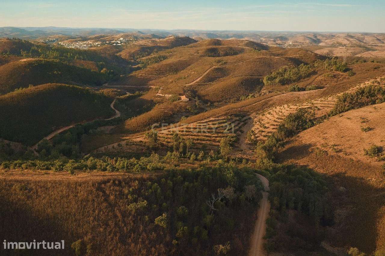 Terreno Agrícola com 8 Hectares — Produção, Água e Natureza em Santana - Grande imagem: 5/15