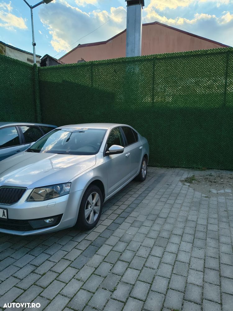 Skoda Octavia 1.6 TDI Ambition Greenline - 10
