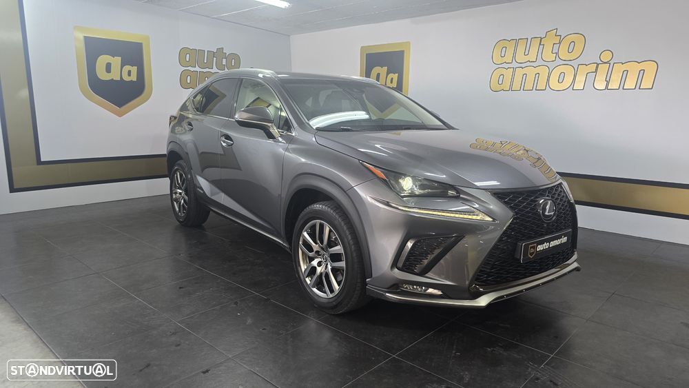 Lexus NX 300h Executive+ - 7
