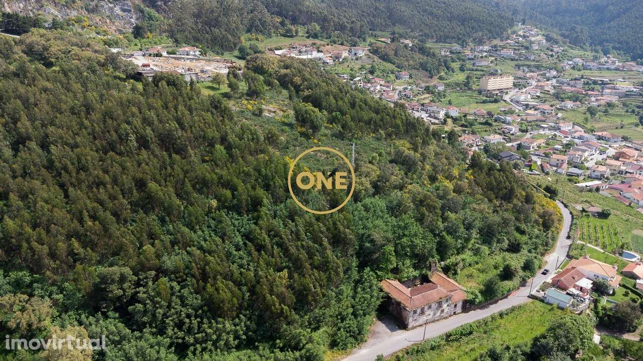 Terreno Rústico com 49.430,21 m2 em S.Tomé Negrelos - Grande imagem: 3/4