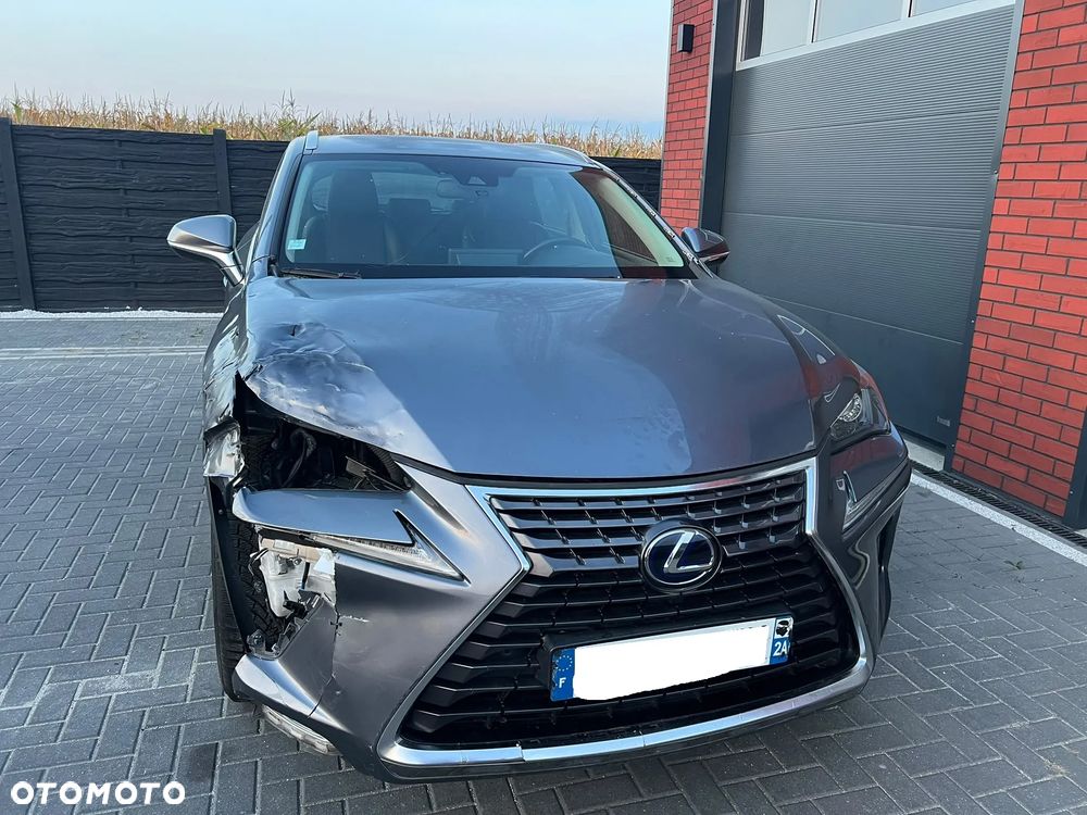 Lexus NX 300h - 28