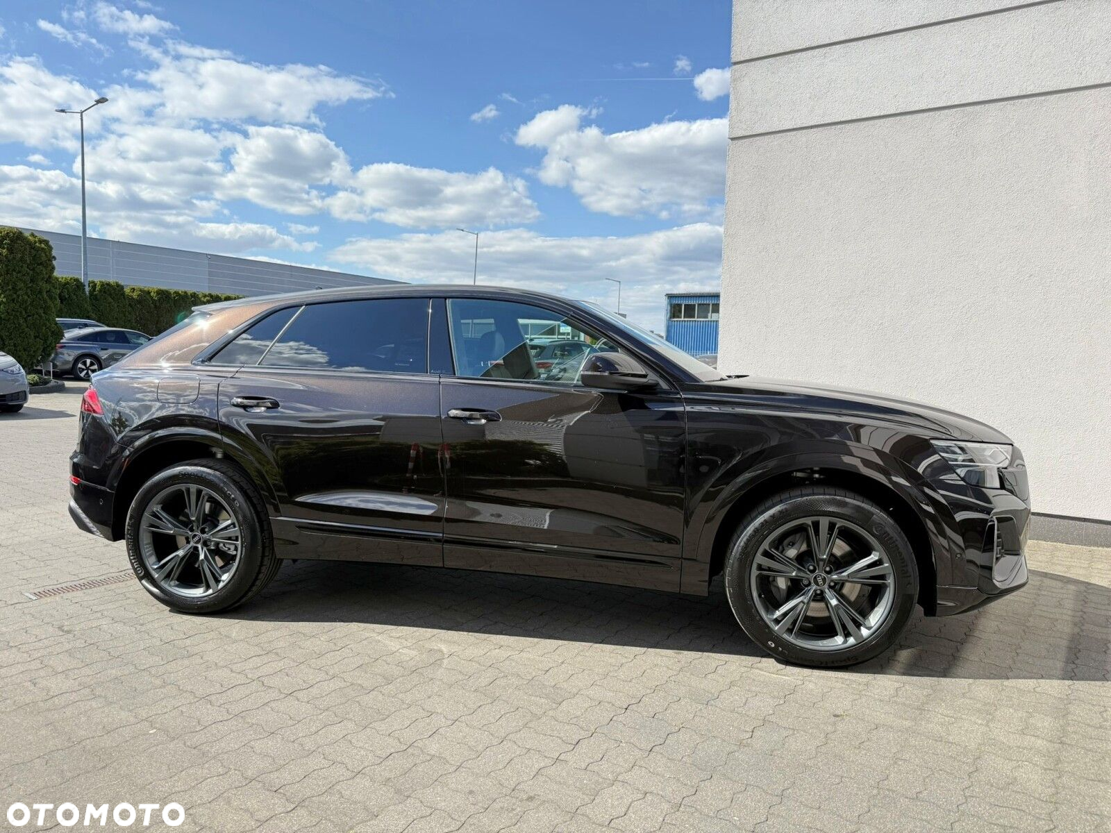 Audi Q8 - 10