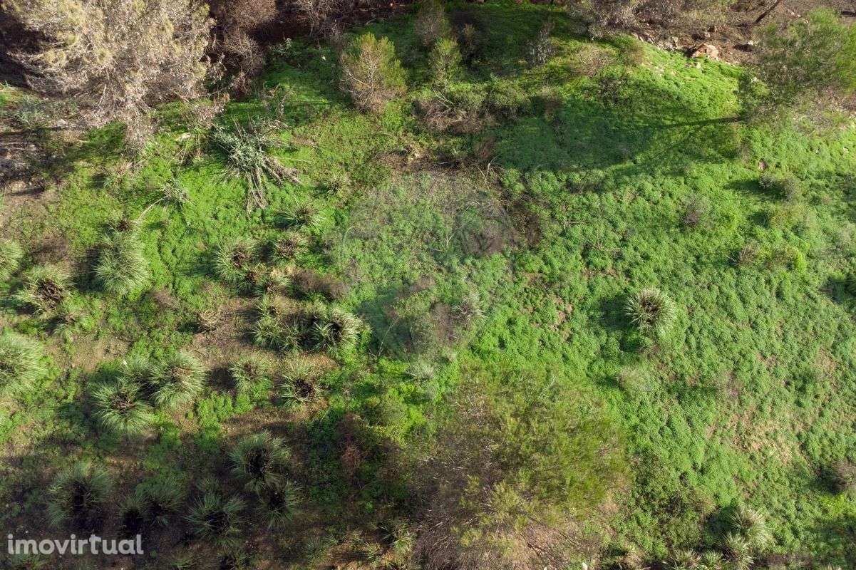 Terreno  para venda - Grande imagem: 2/9