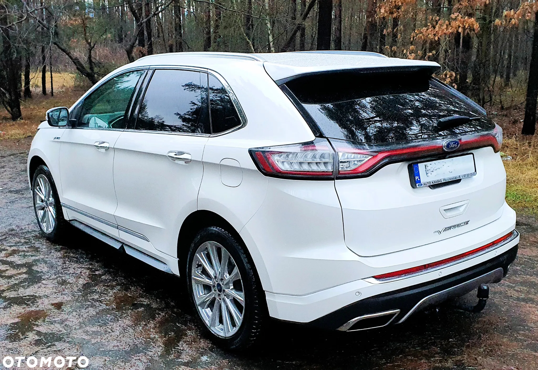 Ford Edge Vignale 2.0 TDCi Twin-Turbo 4WD - 6